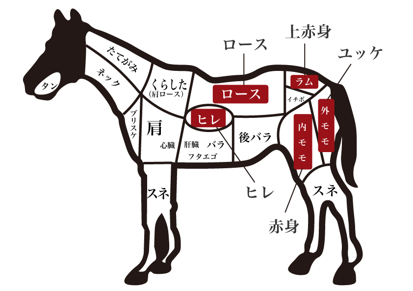 馬の部位紹介イラスト 赤身