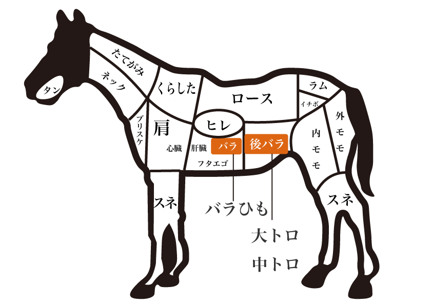 馬の部位紹介イラスト 霜降り