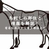 馬の部位紹介イラスト