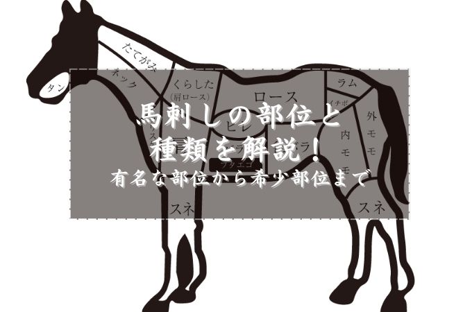 馬の部位紹介イラスト