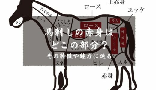 馬刺しの赤身はどこの部分？その特徴や魅力に迫る